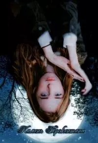 Камень Трокентана. Книга 1 [СИ]