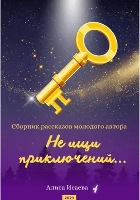 Не ищи приключений