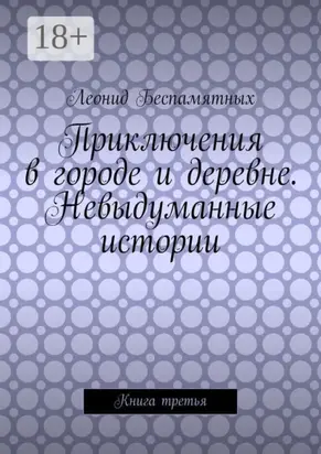 Приключения в городе и деревне. Невыдуманные истории. Книга третья