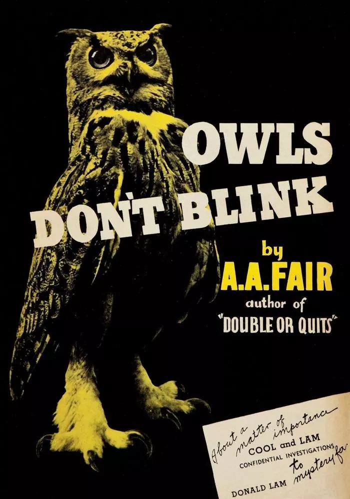 Owls Don't Blink