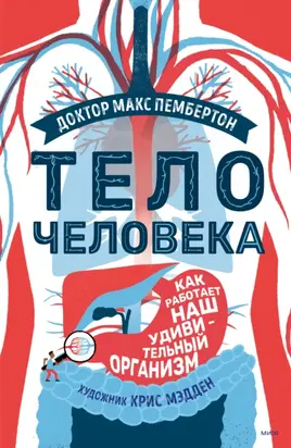 Тело человека. Как работает наш удивительный организм