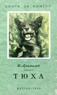 Тюха [авторский сборник]