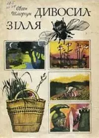 Зозулині черевички