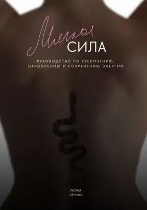 Мягкая сила. Руководство по увеличению, накоплению и сохранению энергии