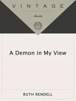 A Demon in My View