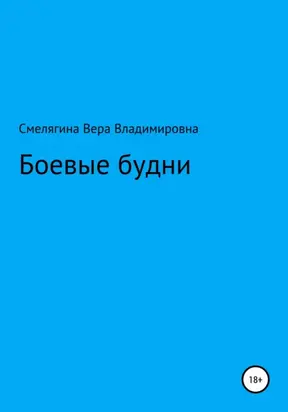 Боевые будни