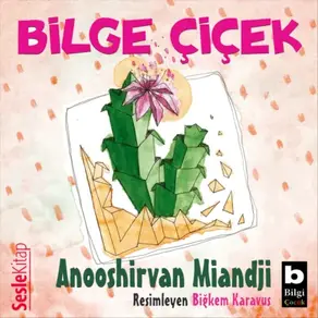 Bilge Ciçek