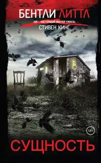 Сущность [litres]