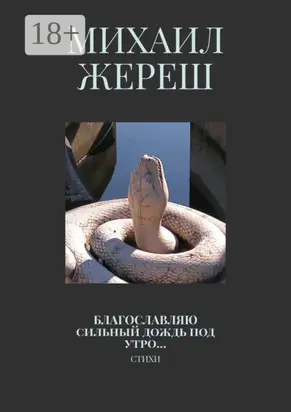Благословляю сильный дождь под утро… Стихи