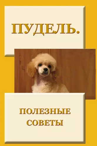 Пудель. Полезные советы