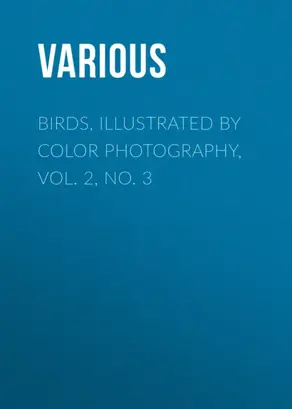 Birds, Illustrated by Color Photography, Vol. 2, No. 3