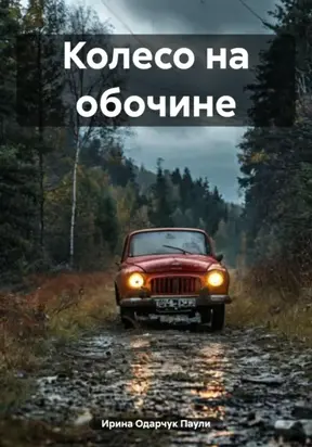 Колесо на обочине