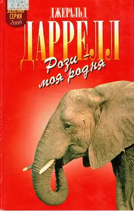 Рози - моя родня