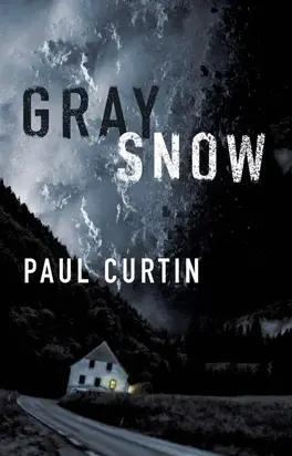 Gray Snow