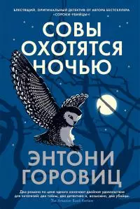 Совы охотятся ночью [Литрес]