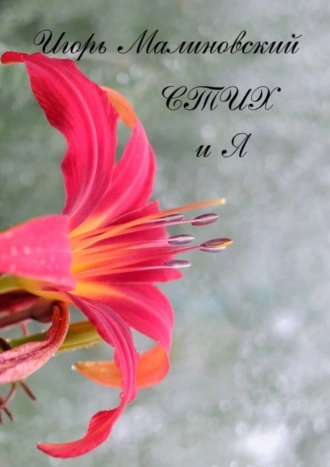 СТИХ и Я. Поэма и стихи