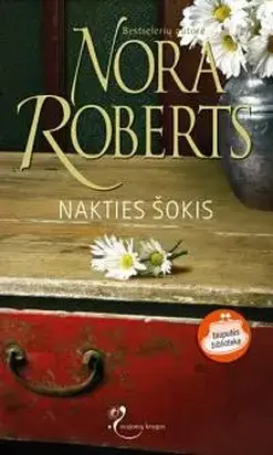 Nakties sokis