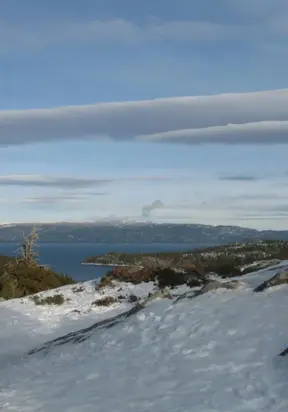 Богословка Авеню