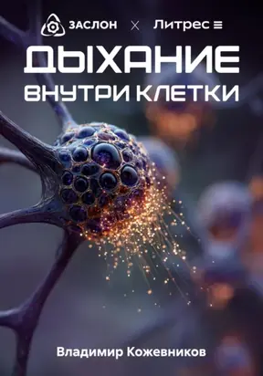 Дыхание внутри клетки