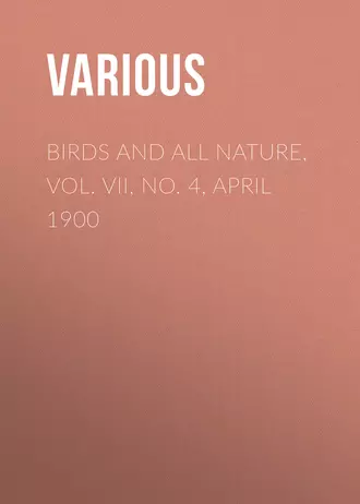 Birds and all Nature, Vol. VII, No. 4, April 1900