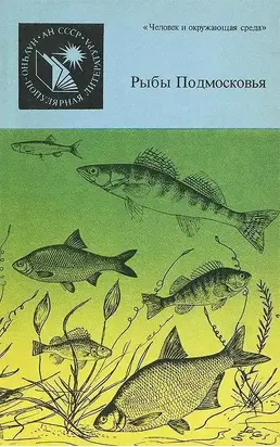 Рыбы Подмосковья