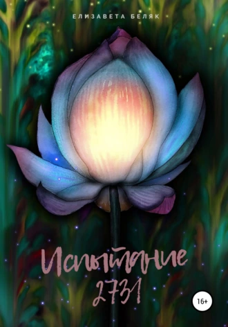 Испытание 2731