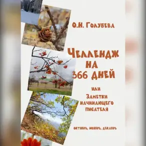 ЧЕЛЛЕНДЖ НА 366 ДНЕЙ. Часть 4. Октябрь, ноябрь, декабрь.