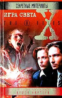 Файл N389. Проклятый 