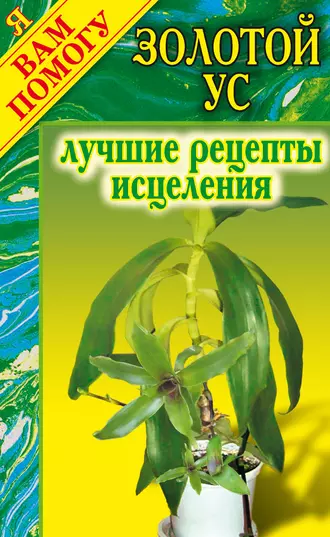 Золотой ус: Лучшие рецепты исцеления