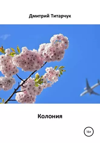 Колония