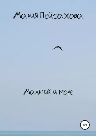 Мальчик и море