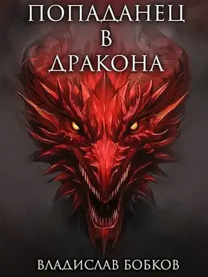 Попаданец в Дракона