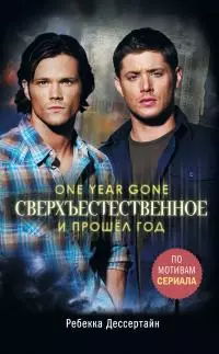 И прошёл год [litres]