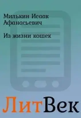 Из жизни кошек