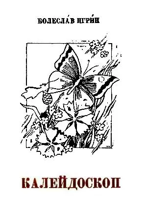 Калейдоскоп [СИ]