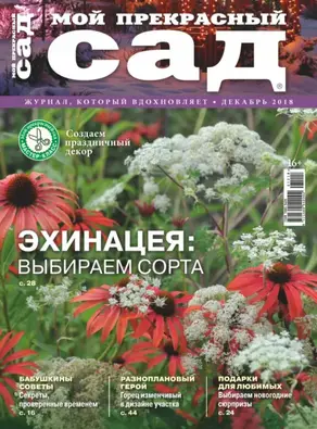 Безмолвный пациент