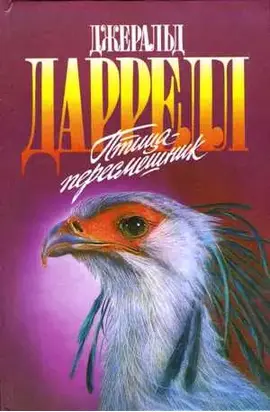 Мама на выданье