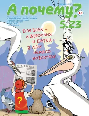 А почему? №05/2023