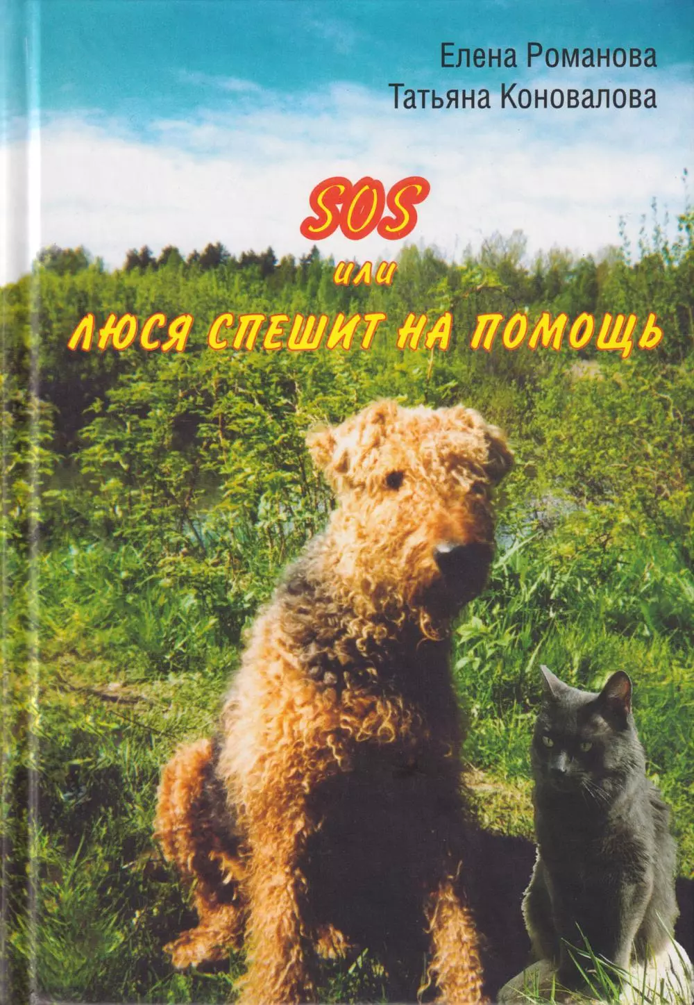 SOS, или Люся спешит на помощь