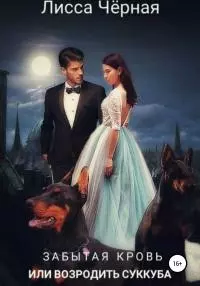 Забытая кровь, или Возродить суккуба [litres самиздат]