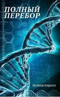 Полный перебор [СИ]