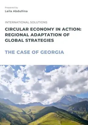 Circular economy in action: Regional adaptation of global strategies. The case of Georgia