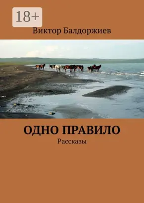 Одно правило. Рассказы