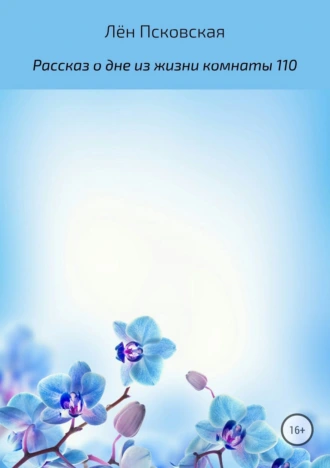 Рассказ о дне из жизни комнаты 110