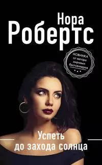 Успеть до захода солнца [litres]