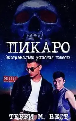 Пикаро