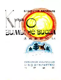 Кто зимы не видал