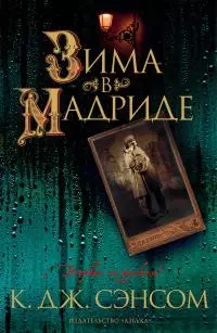 Зима в Мадриде [Литрес]