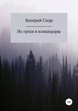 Из грязи в командоры