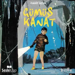 Gümüş Kanat